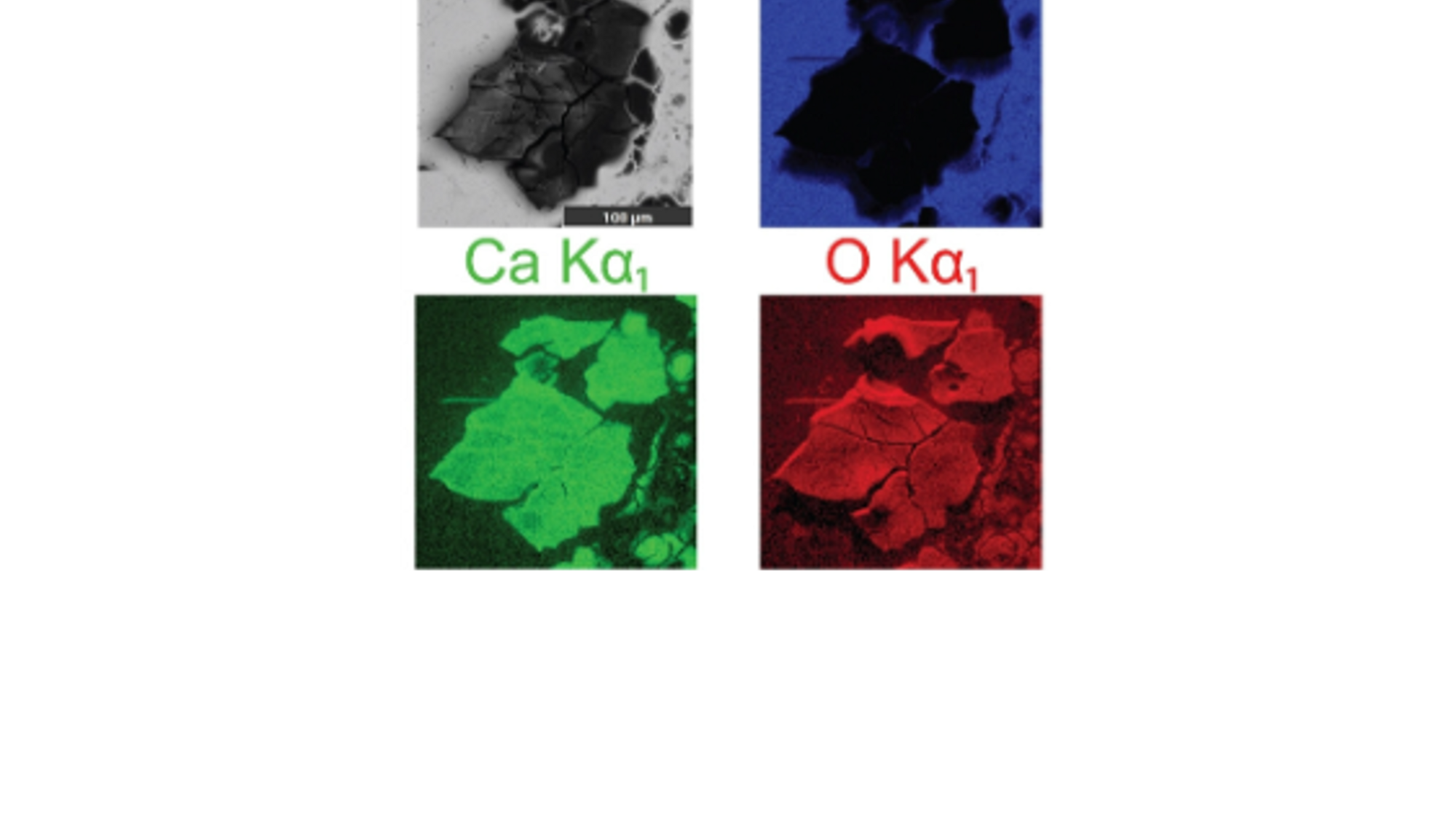 EDS of elements of a Pt electrode after plating